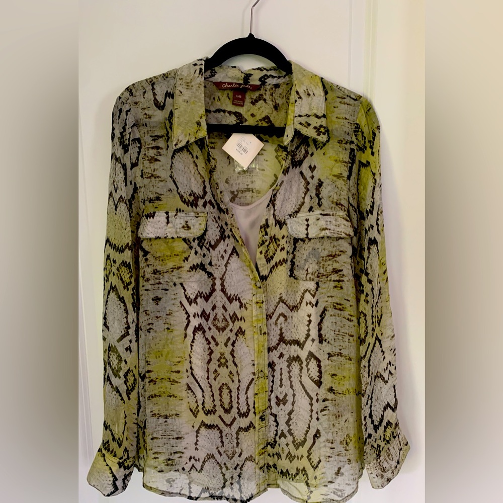 Charlie Jade Silk Blouse and Camisole.